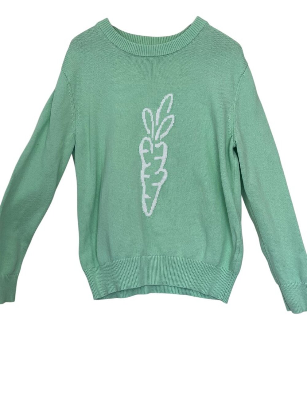 Carrots by Anwar Carrots 100% Cotton Mint Green Crewneck Knit Sweater Men Size M